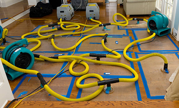 Professional Storm Water Damage Restoration technician working in Thomson, GA